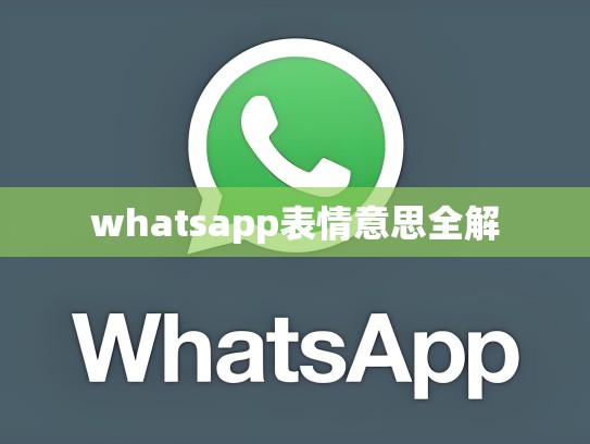 whatsapp表情意思全解