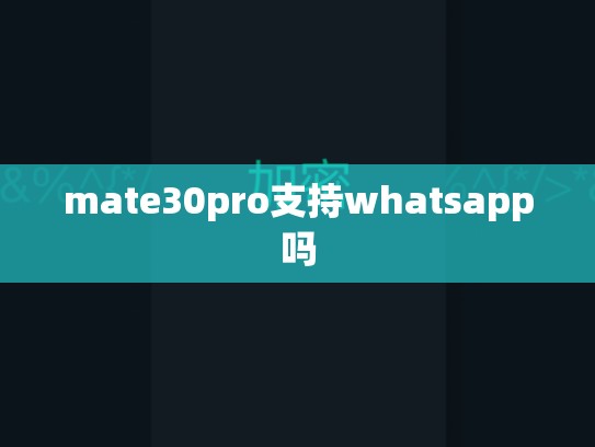 mate30pro支持whatsapp吗