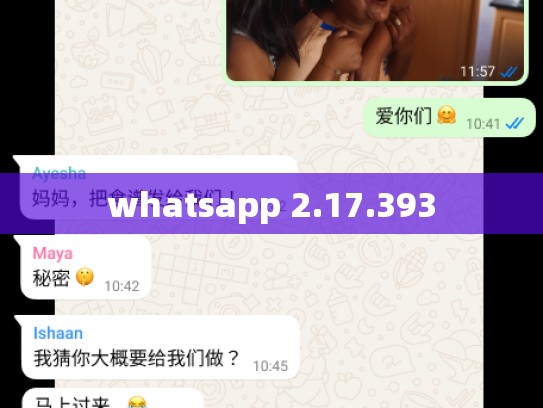 whatsapp 2.17.393