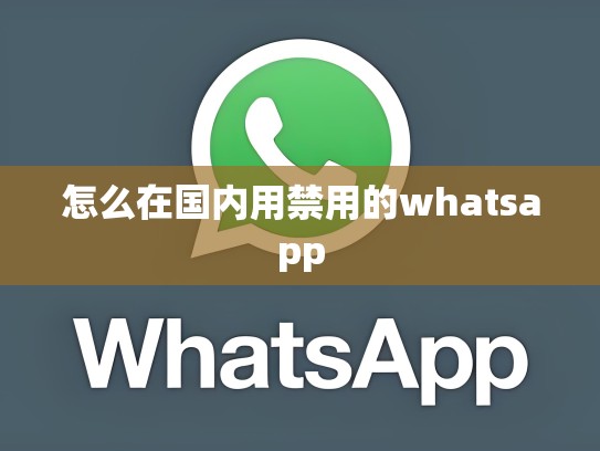 怎么在国内用禁用的whatsapp