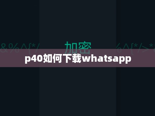 p40如何下载whatsapp