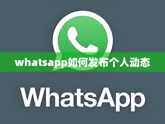 whatsapp如何发布个人动态