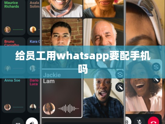 给员工用whatsapp要配手机吗