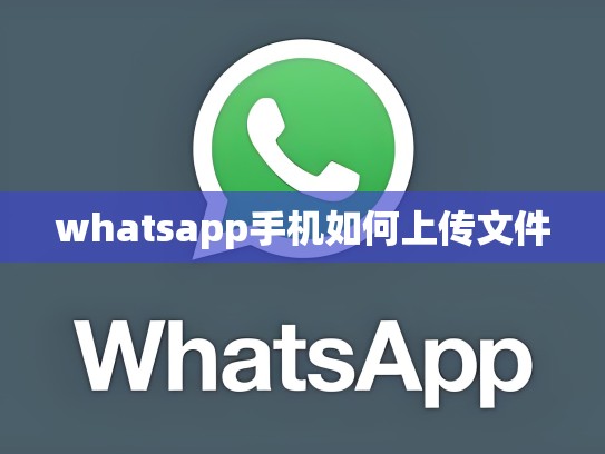 whatsapp手机如何上传文件