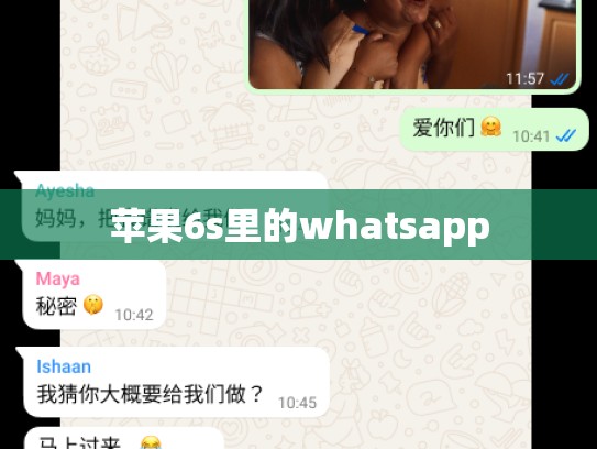 苹果6s里的whatsapp