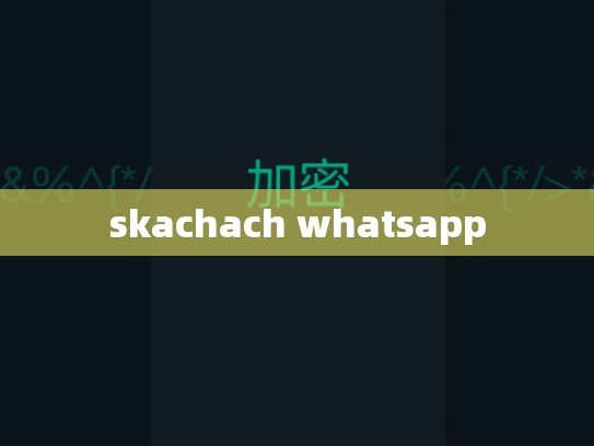 skachach whatsapp