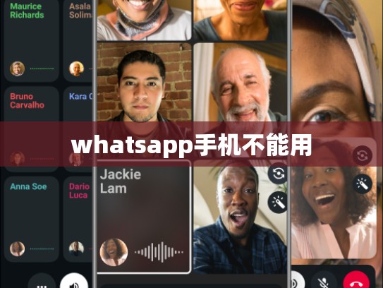 whatsapp手机不能用
