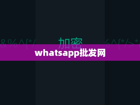 whatsapp批发网