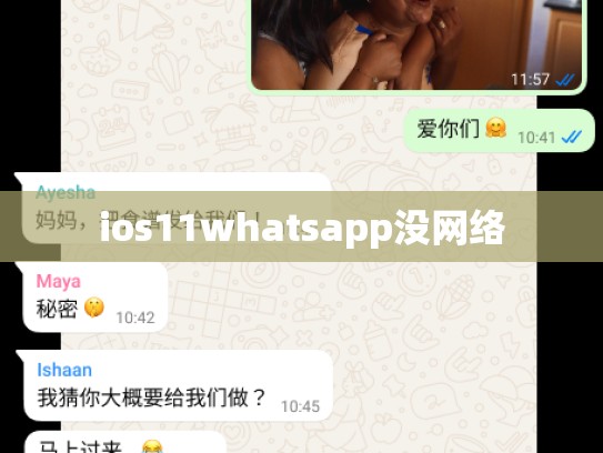 ios11whatsapp没网络