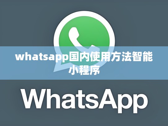 whatsapp国内使用方法智能小程序