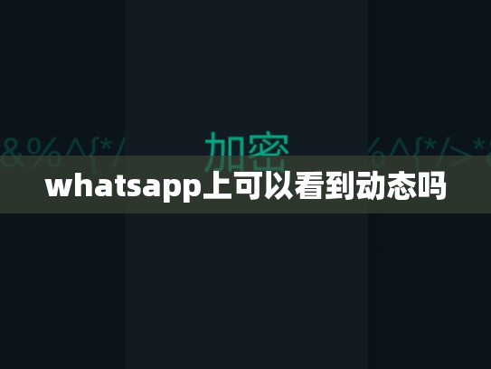 whatsapp上可以看到动态吗