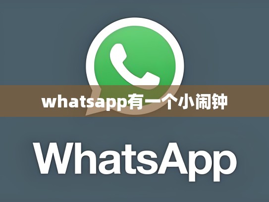 whatsapp有一个小闹钟