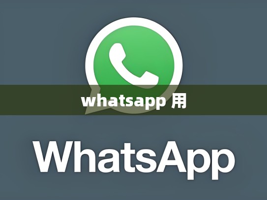 whatsapp 用