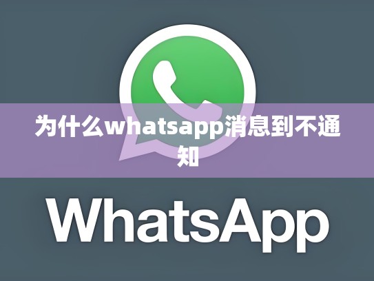 为什么whatsapp消息到不通知