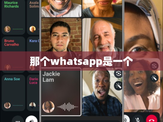 那个whatsapp是一个