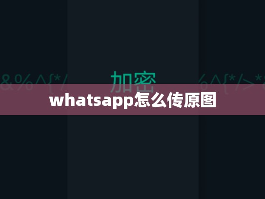 whatsapp怎么传原图