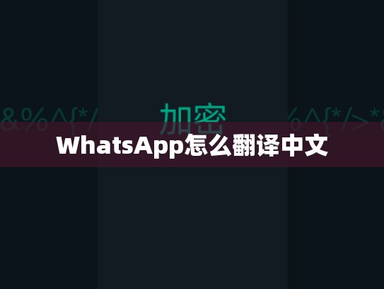 WhatsApp怎么翻译中文