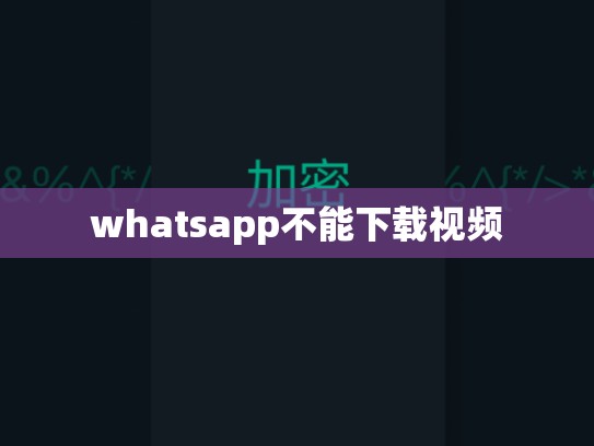 whatsapp不能下载视频