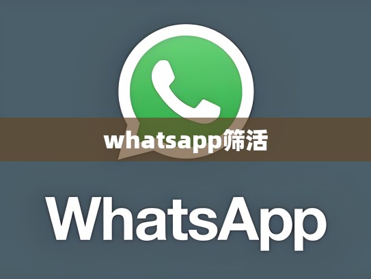 whatsapp筛活