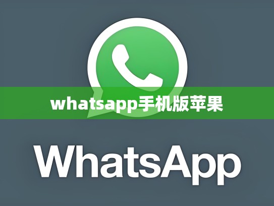 whatsapp手机版苹果