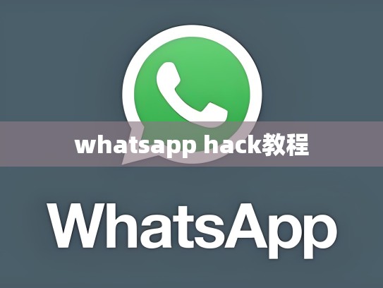 whatsapp hack教程