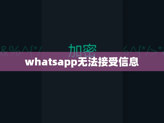 whatsapp无法接受信息
