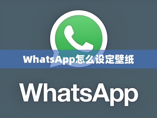 WhatsApp怎么设定壁纸
