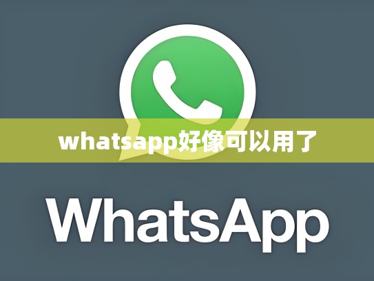 whatsapp好像可以用了