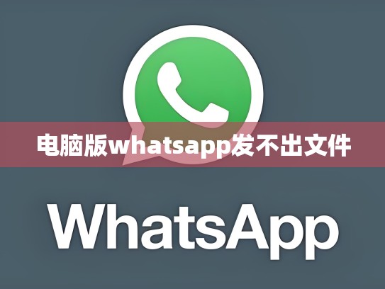 电脑版whatsapp发不出文件
