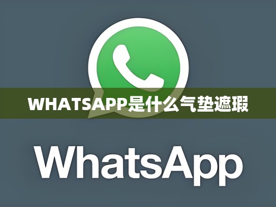 WHATSAPP是什么气垫遮瑕