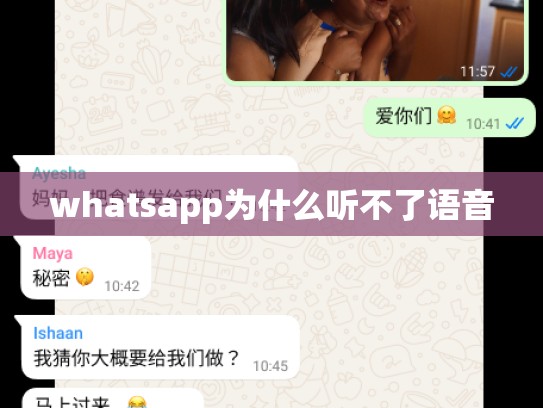 whatsapp为什么听不了语音