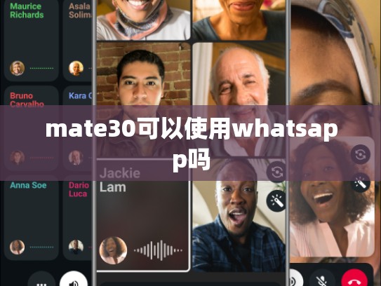 mate30可以使用whatsapp吗