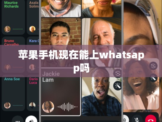 苹果手机现在能上whatsapp吗