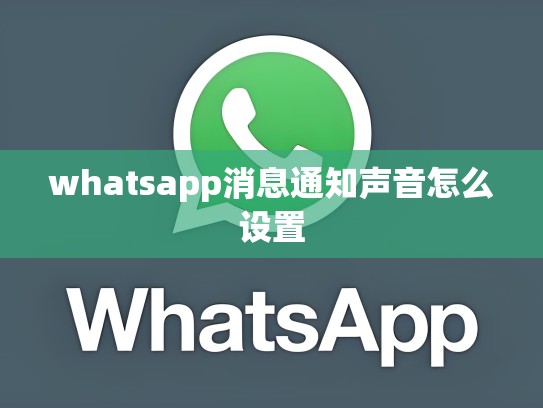 whatsapp消息通知声音怎么设置