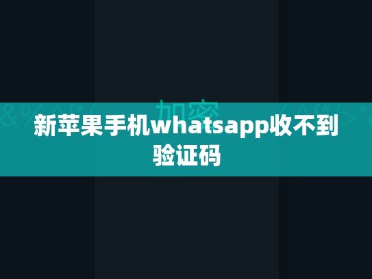 新苹果手机whatsapp收不到验证码