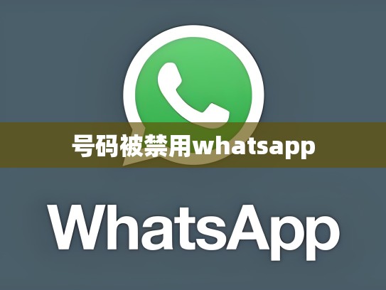 号码被禁用whatsapp