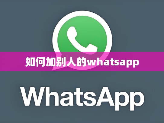 如何加别人的whatsapp