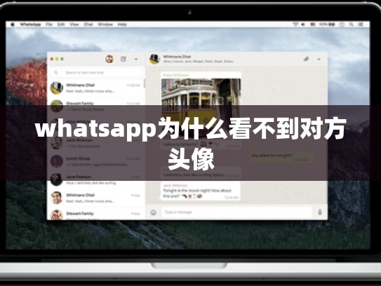 whatsapp为什么看不到对方头像