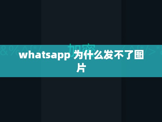 whatsapp 为什么发不了图片
