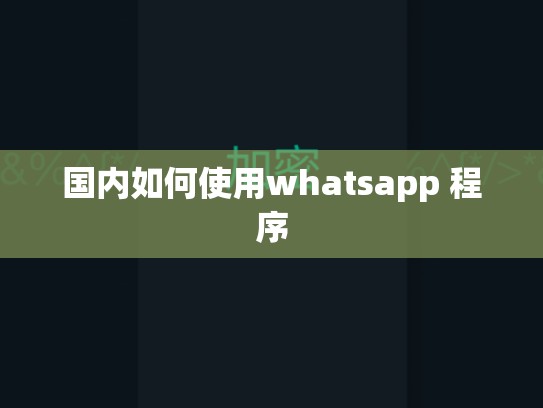 国内如何使用whatsapp 程序