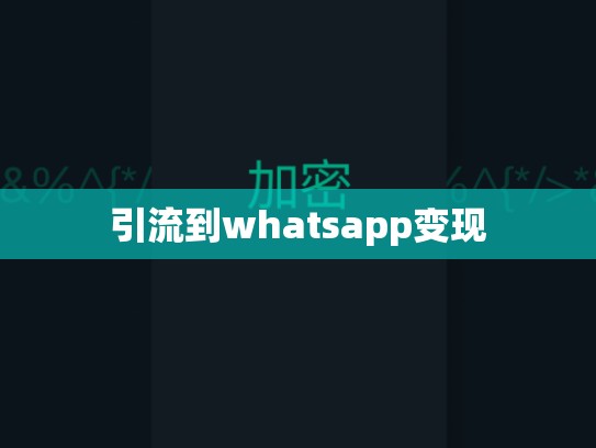 引流到whatsapp变现