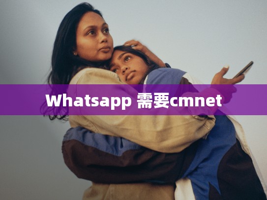 Whatsapp 需要cmnet