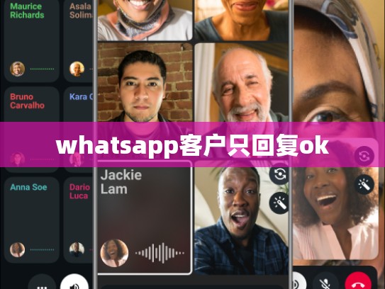 whatsapp客户只回复ok