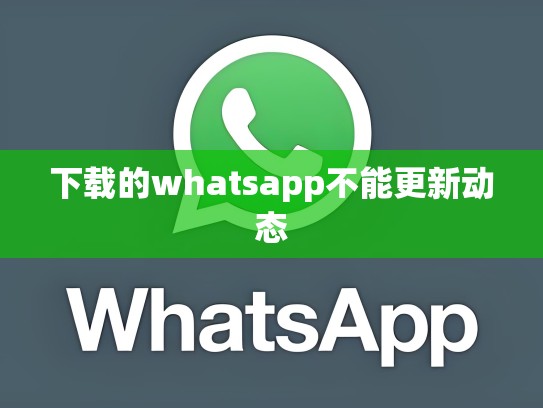 下载的whatsapp不能更新动态