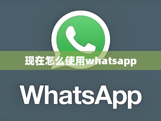 现在怎么使用whatsapp