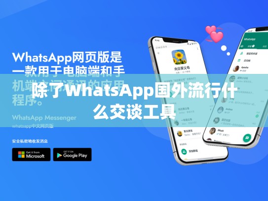 除了WhatsApp国外流行什么交谈工具