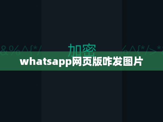 whatsapp网页版咋发图片