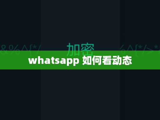 whatsapp 如何看动态