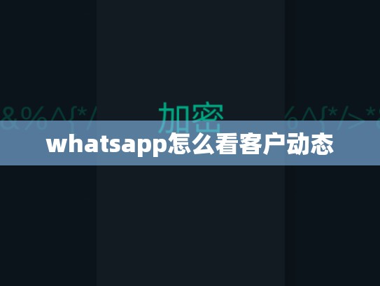 whatsapp怎么看客户动态