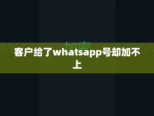 客户给了whatsapp号却加不上